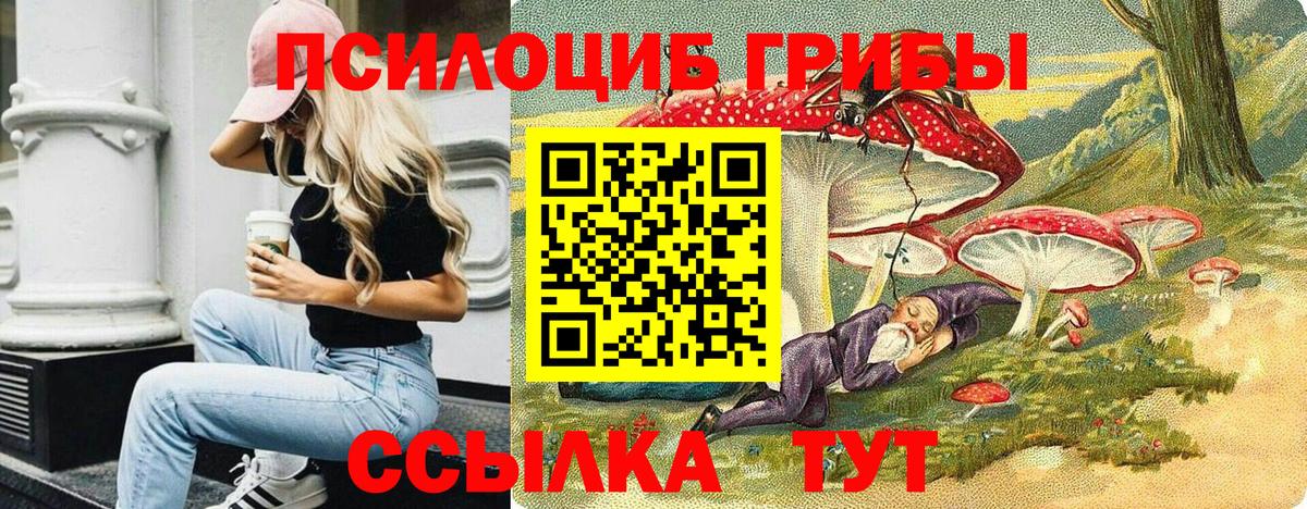 Псилоцибиновые грибы GOLDEN TEACHER Слободской